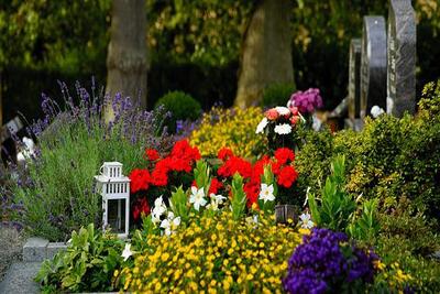 fleurs de deuil