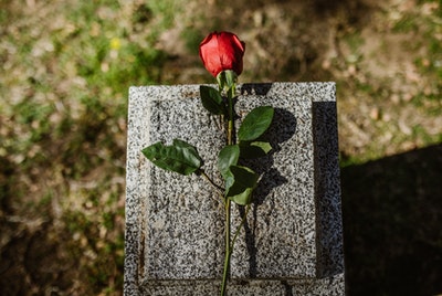 rose et sépulture